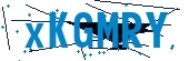 recaptcha