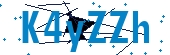 recaptcha