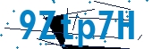 recaptcha