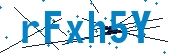 recaptcha