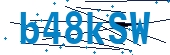 recaptcha