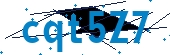recaptcha