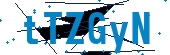 recaptcha