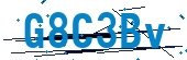 recaptcha